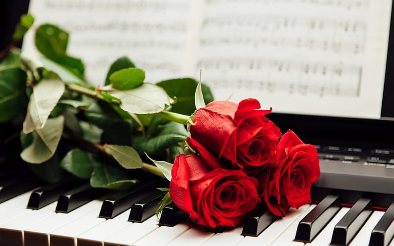 piano, piano keys, flowers, red roses, HD wallpaper