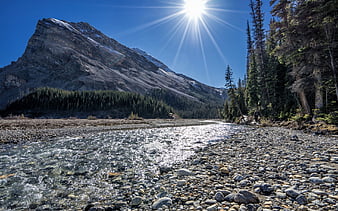 Wallpaper forest, light, mountains, lake, morning, Canada, Albert, snag for  mobile and desktop, section пейзажи, resolution 2048x1365 - download