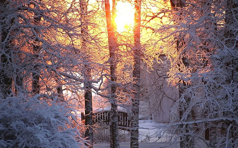 FInland, sun, sunlight, winter, snow, beauty, garden, nature, sunrise, sun sunlight sunrise, HD wallpaper