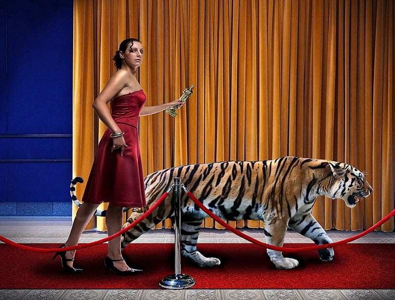 Catwalk, show, walk, tiger, woman, HD wallpaper