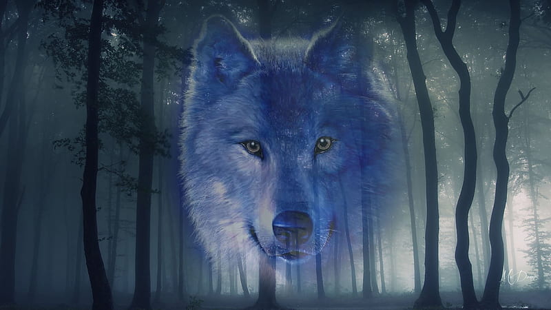 Spirit of the Wolf, lobo, gothic, woods, wolf, collage, mysterious, HD  wallpaper | Peakpx