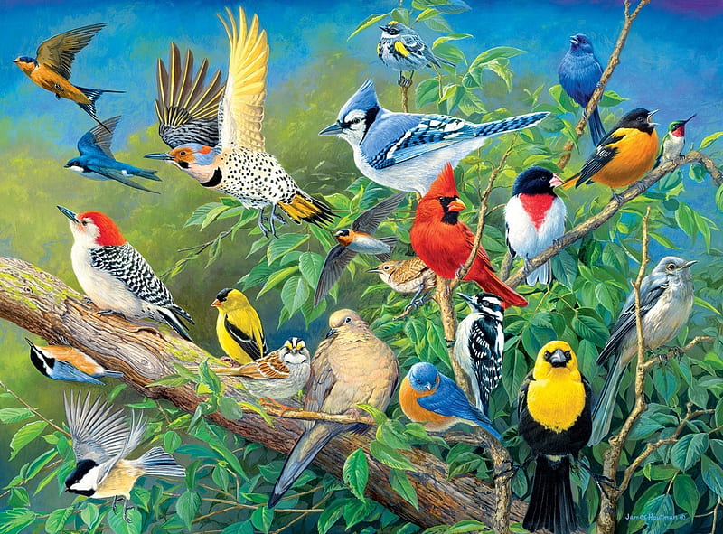 Songbirds, art, vara, bird, pasare, flower, summer, painting, HD wallpaper