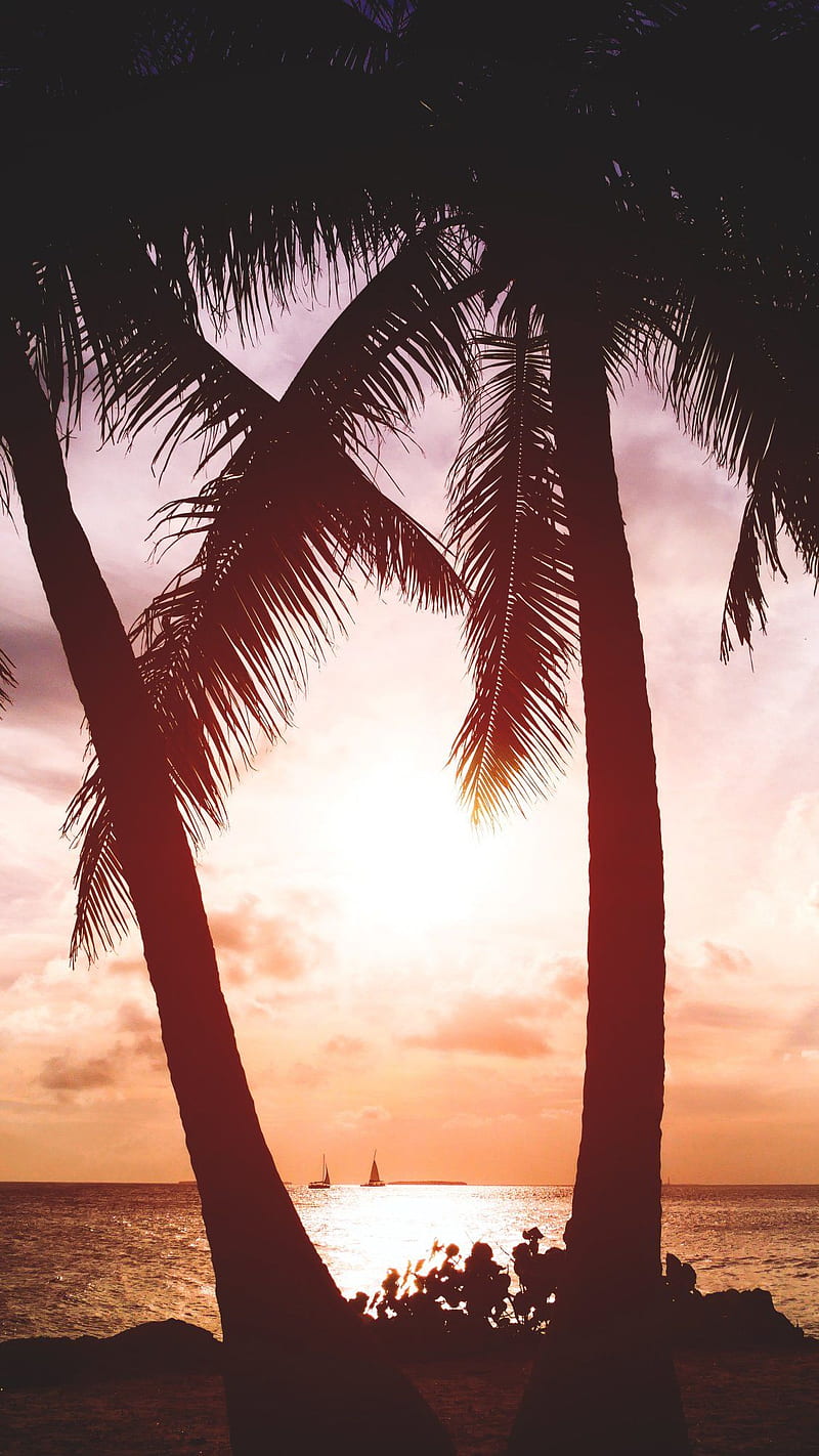 Key West, Florida. From its fascinating history and beautiful natural landscape, to its. Beach iphone, Beach background , iphone summer, Key West Sunset, HD phone wallpaper