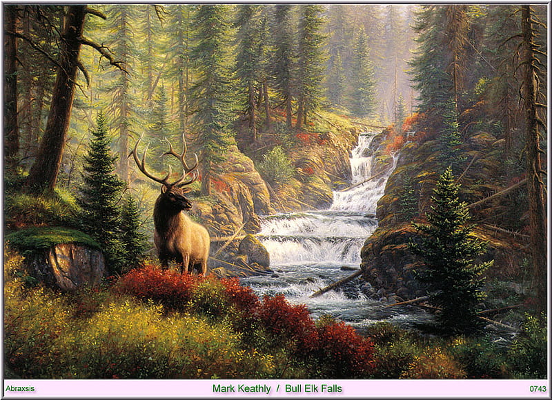 Bull Elk Falls, forest, fall, elk, beauty, majesty, HD wallpaper