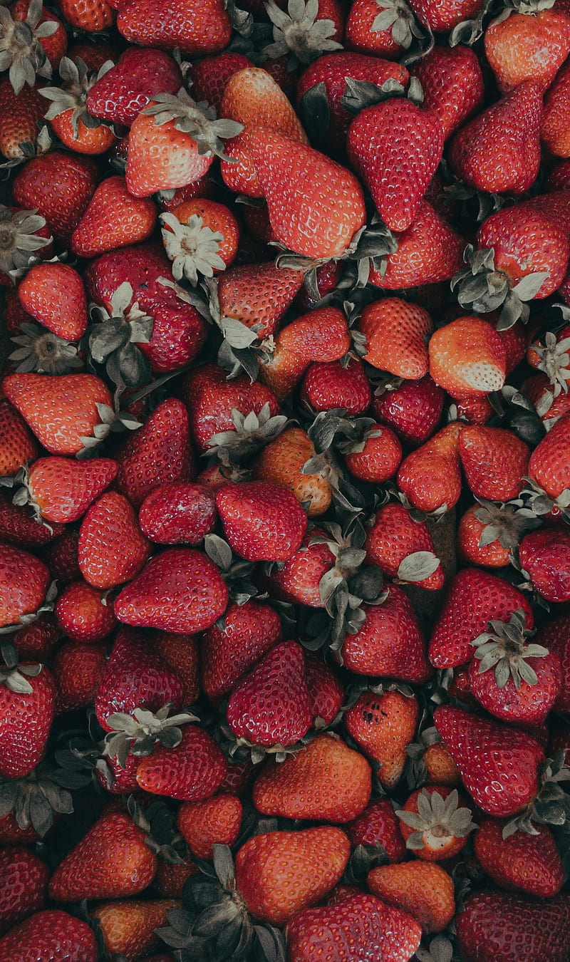 strawberries, red, ripe, berries, fresh, HD phone wallpaper