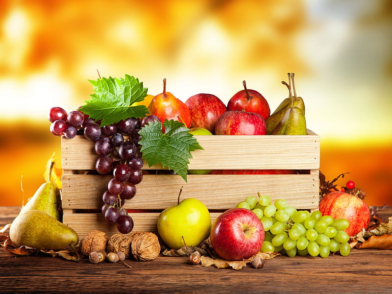 Autumn Fruits, fall, grapes, autumn, leaves, fruits, apples, autumn splendor, HD wallpaper