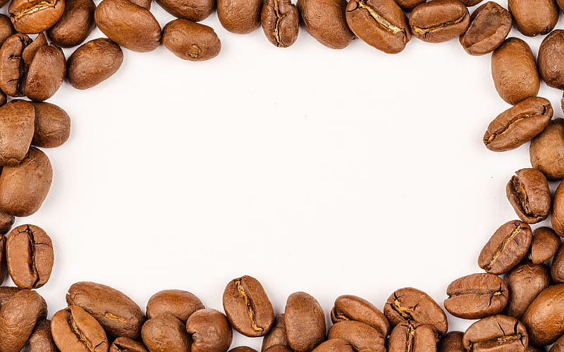 coffee beans frame white background, artwork, creative, coffee beans, coffee, HD wallpaper