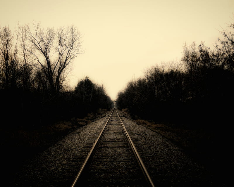 Track, dark, railroad, railway, shadow, trees, usa, winter, HD wallpaper