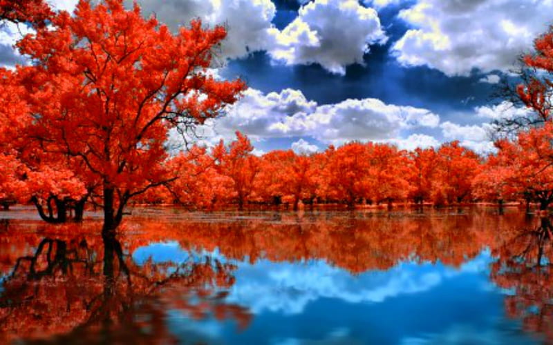 Beautiful Scenery, nature, water, sky, lake, HD wallpaper