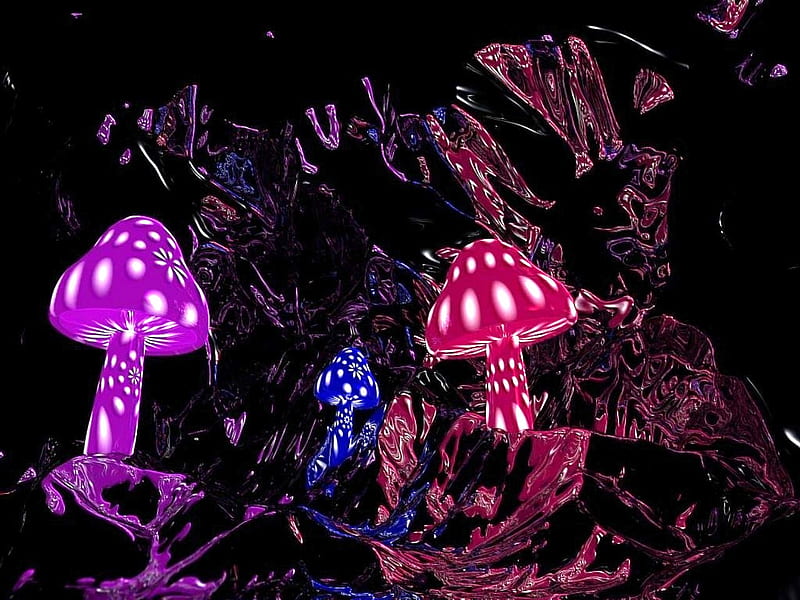 MAGIC MUSHROOMS, purple, mushrooms, magic, pink, blue, HD wallpaper