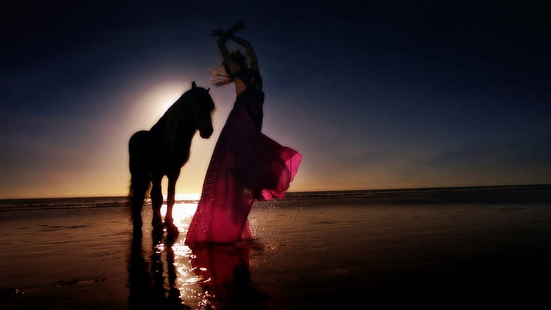 Beauty and Black stallion on the beach, Black Horse, Ocean, bonito, beach, Model, Horses, Beauty, Horse, Stallion, HD wallpaper