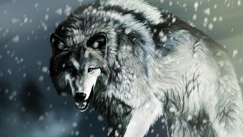 Winter wolf, wolf, abstract, digital art, animals, wild animals, art,  fantasy wild, HD wallpaper | Peakpx