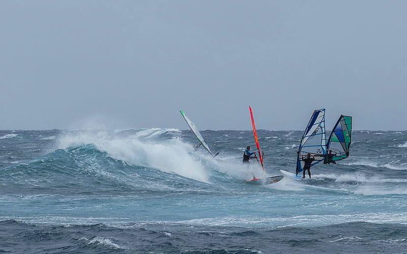 windsurfing, extreme sports, wave, sea, HD wallpaper