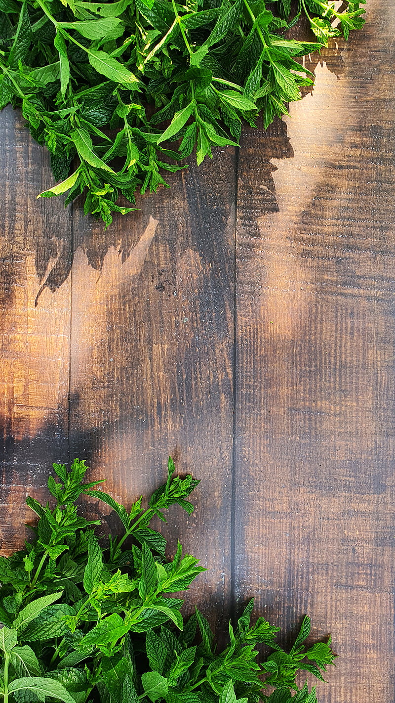 fresh mint on wood, green, nature, plant, smell, tea, HD phone wallpaper
