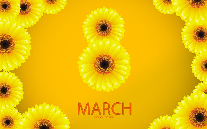 8 March, International Womens Day, 2018, yellow chrysanthemum, floral background, art, greeting, greeting card, yellow flowers, HD wallpaper