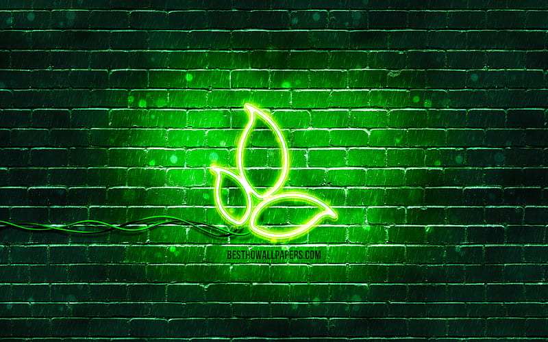 Leaves neon icon green background, neon symbols, Leaves, creative, neon icons, Leaves sign, ecology signs, Leaves icon, ecology icons, HD wallpaper