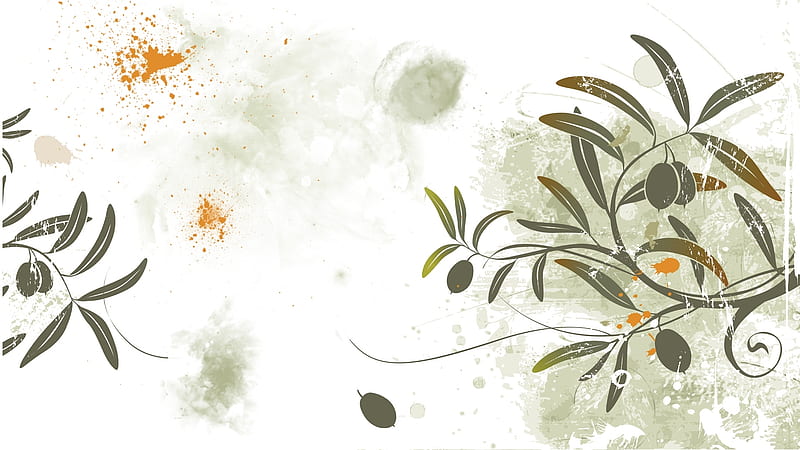 Olive branch Flower background Minimalist Olive HD phone wallpaper   Pxfuel