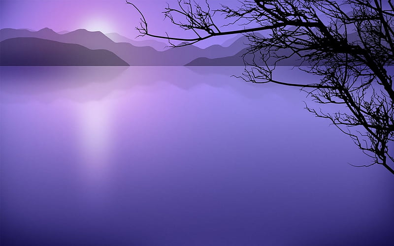 Sunrise, black, branch, silhouette, tree, water, purple, morning ...