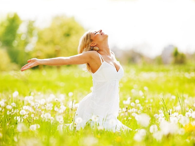 Sunshine, field, dandelions, girl, enjoyment, peaceful, happy, HD wallpaper