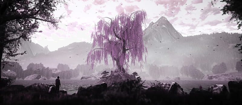The Dead Tree Of Ranchiuna, the-dead-tree-of-ranchiuna, 2019-games, games, HD wallpaper