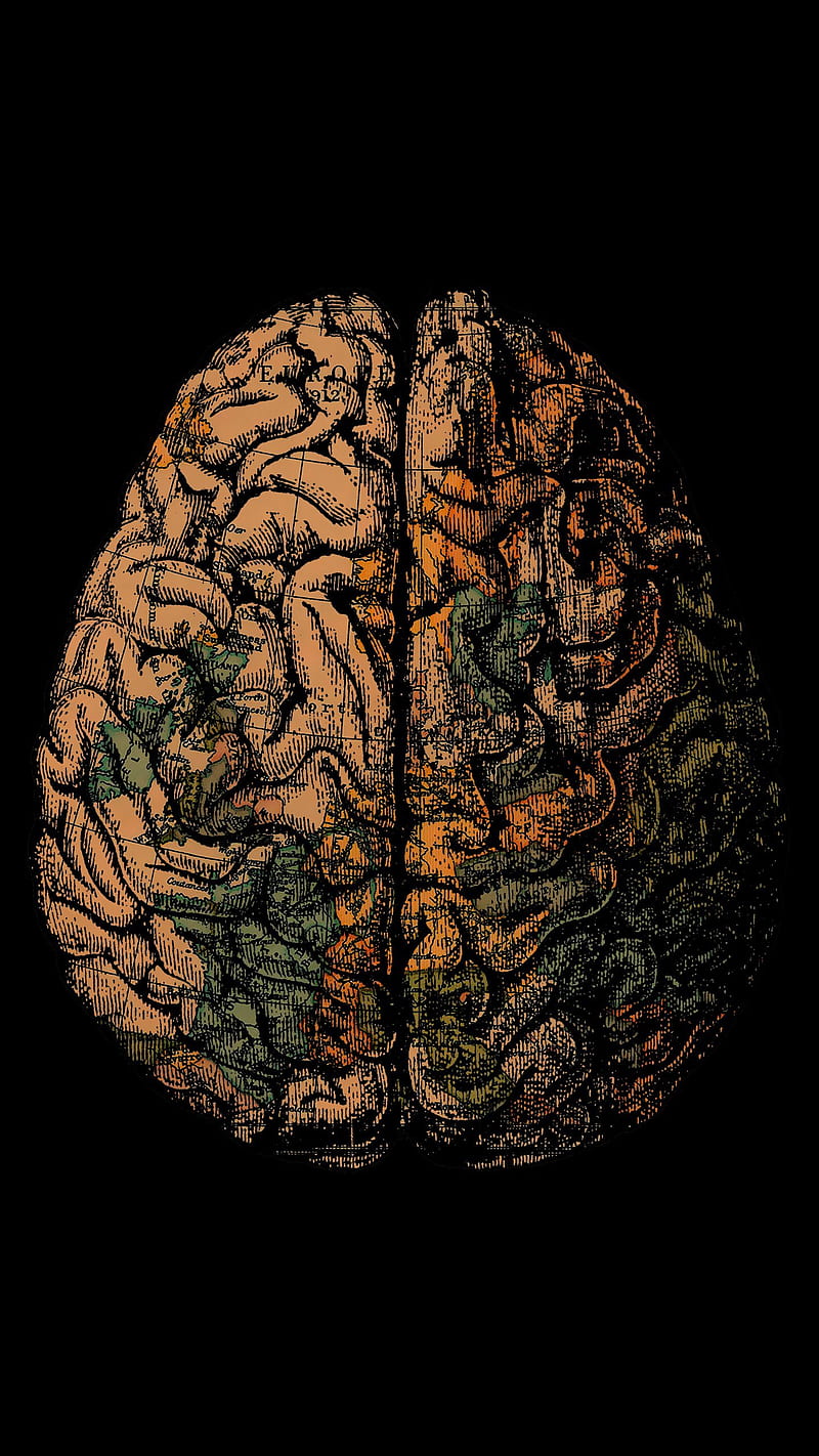 Brain, amoled, black, green map, orange, HD phone wallpaper