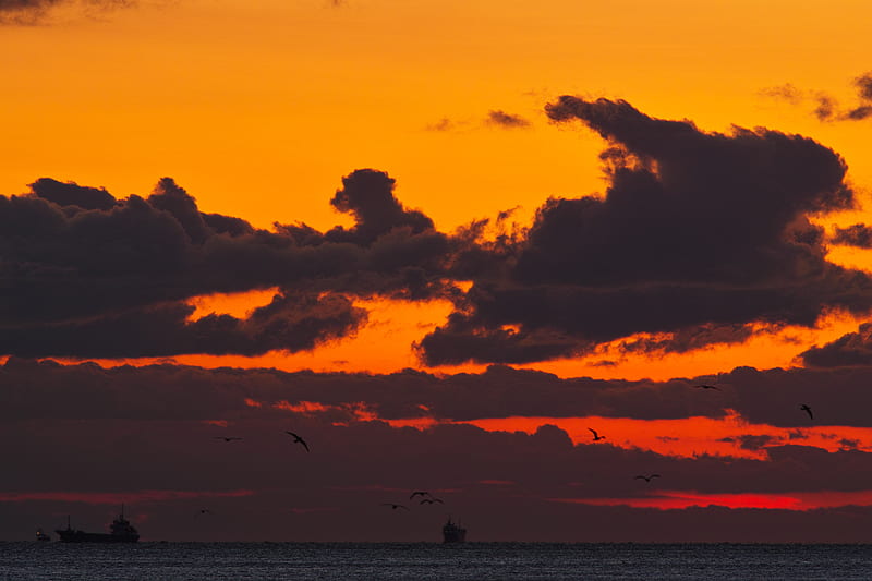 sunset, sea, ship, birds, clouds, HD wallpaper