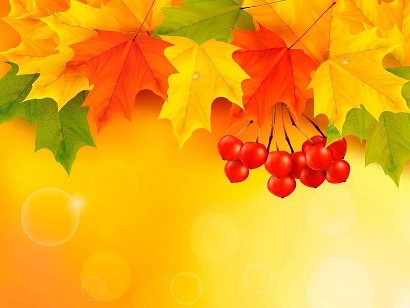 Fall background, pretty, colorful, fall, autumn, lovely, orange, falling, background, colors, sunny, bonito, foliage, leaves, nice, berries, bubbles, HD wallpaper