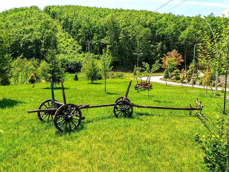 old wooden cart, bonito, Forest, Cart, Road, HD wallpaper