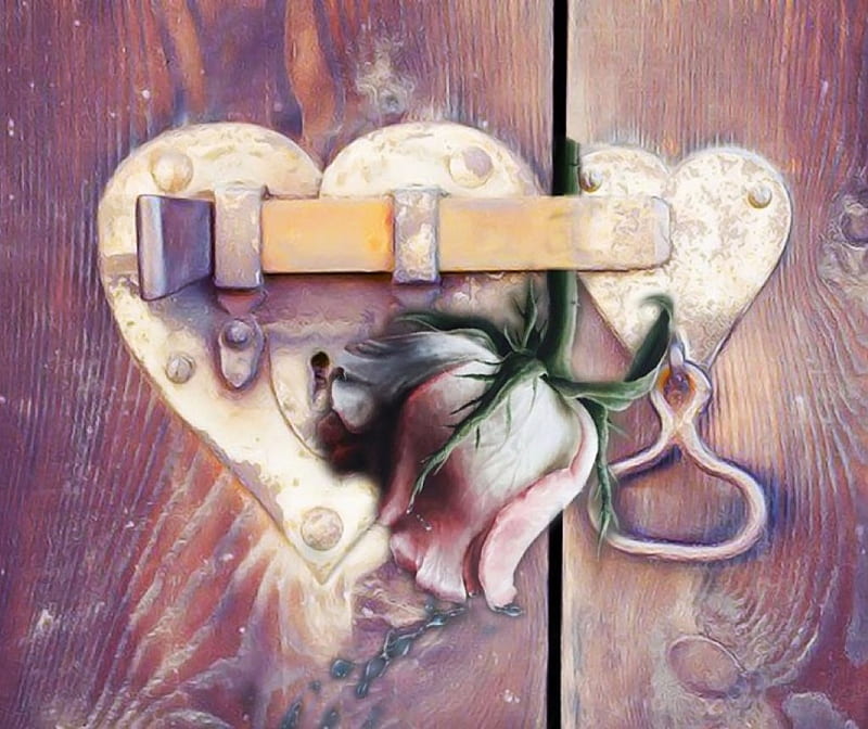 For a secret love..♡, single rose, rose, pink, heart locks, wood, crying rose, door, HD wallpaper