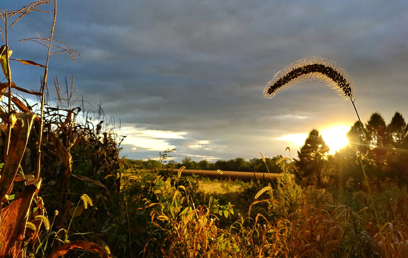 Sunset, country, farm, HD wallpaper | Peakpx