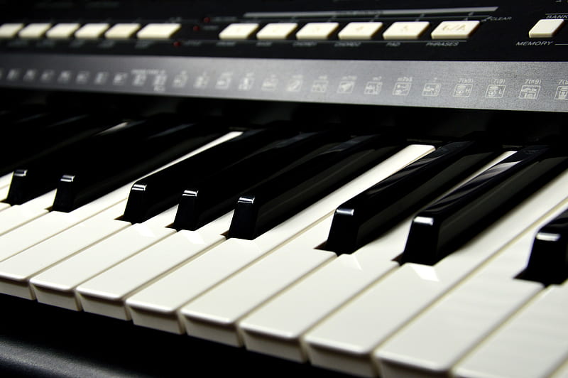 Keyboard , black and white, ebony and ivory, music, musical, musician, piano, HD wallpaper
