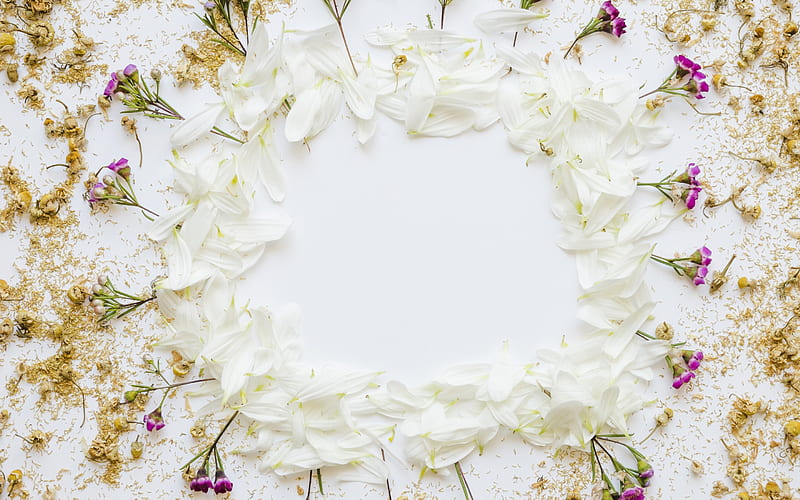 frame from flowers, spring, white petals, spring white flowers, template for frame, HD wallpaper