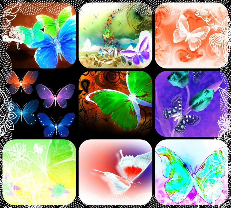 INVERT, pretty, collage, butterflies, abstract, HD wallpaper | Peakpx
