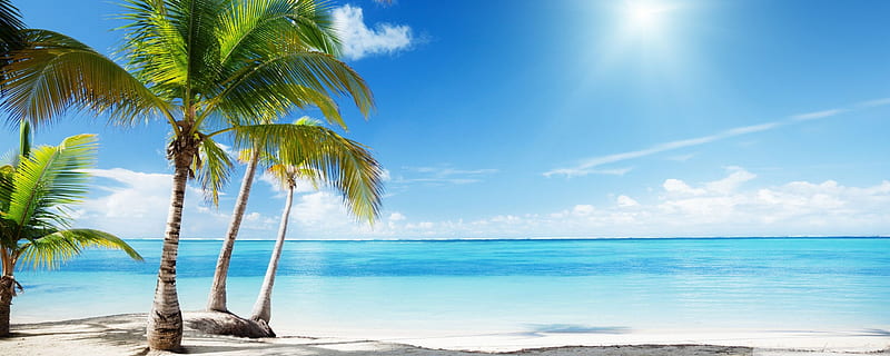 Thiên đường bãi biển nhiệt đới mang lại cho bạn một khung cảnh tuyệt đẹp của thiên nhiên, nơi có những bãi cát trắng và biển xanh ngắt. Hãy xem hình ảnh này và tận hưởng những khoảnh khắc đẹp nhất của cuộc sống. 