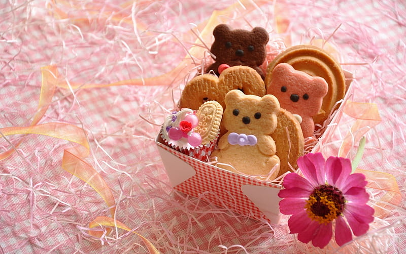 With Love, teddy, gift, sweet, cute, cookies, graphy, love, flower, teddy  bear, HD wallpaper | Peakpx