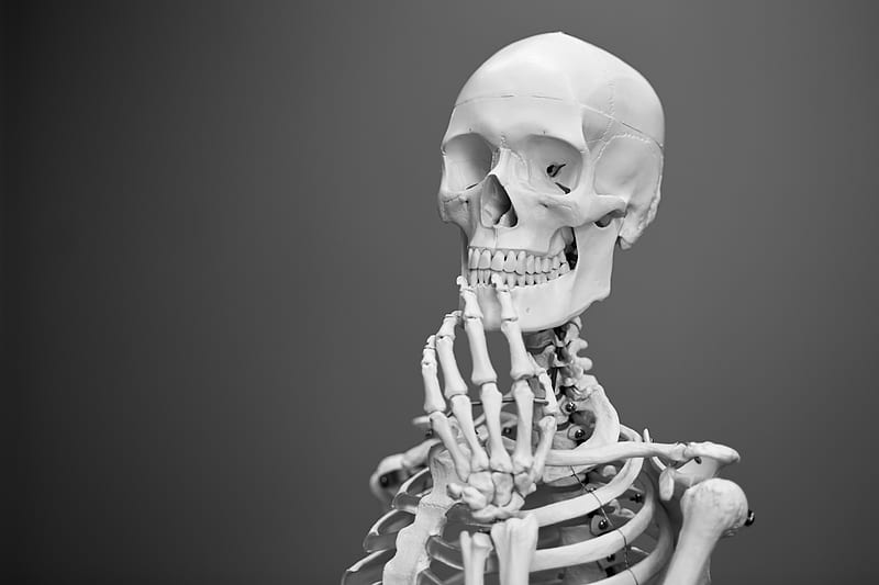 greyscale graphy of skeleton, HD wallpaper