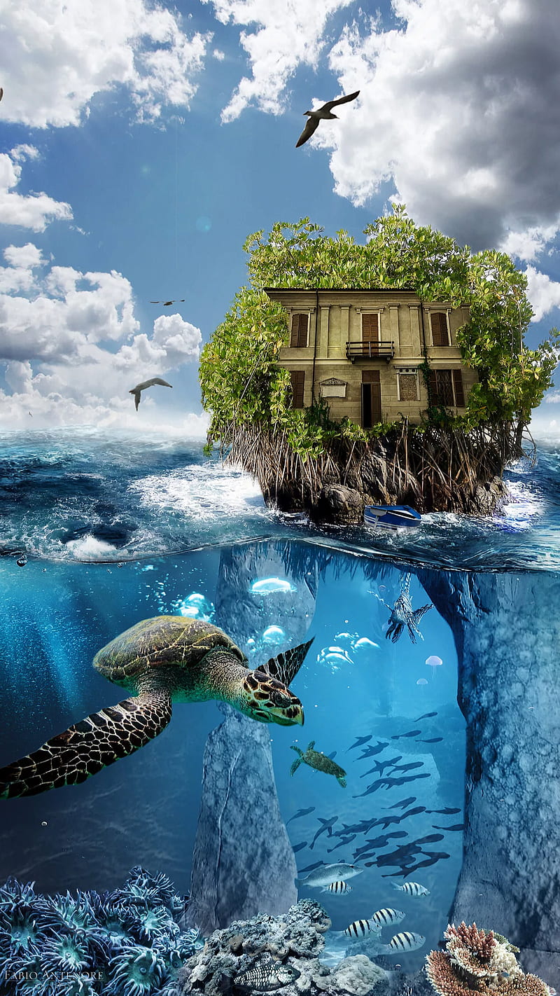 Fantasy, nature, tropical, turtle, sea, fish, island, ocean, house, HD phone wallpaper
