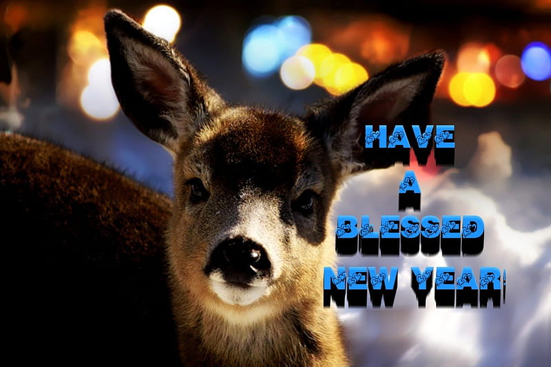 Have a Truly Blessed New Year!, colorful, kindness, blessed, christmas, glad, peace, happy new year, deer, happy, lights, winter, thankful, love, peaceful, animals, HD wallpaper