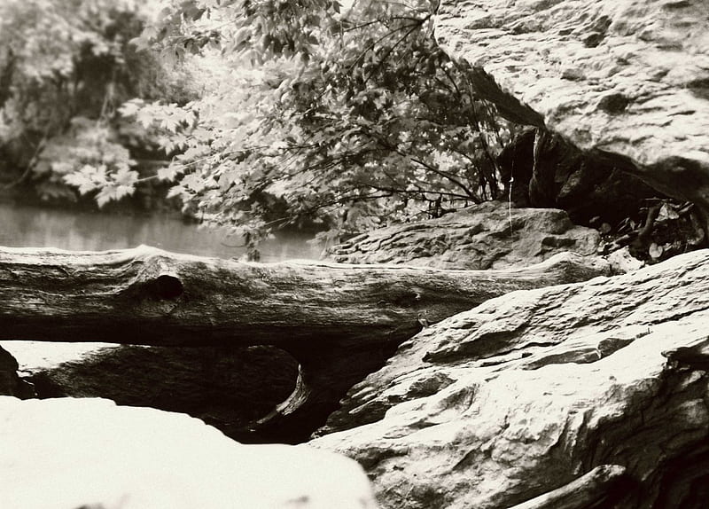 Through the Sepia, sepia, rocks, water, awesome, trees, HD wallpaper