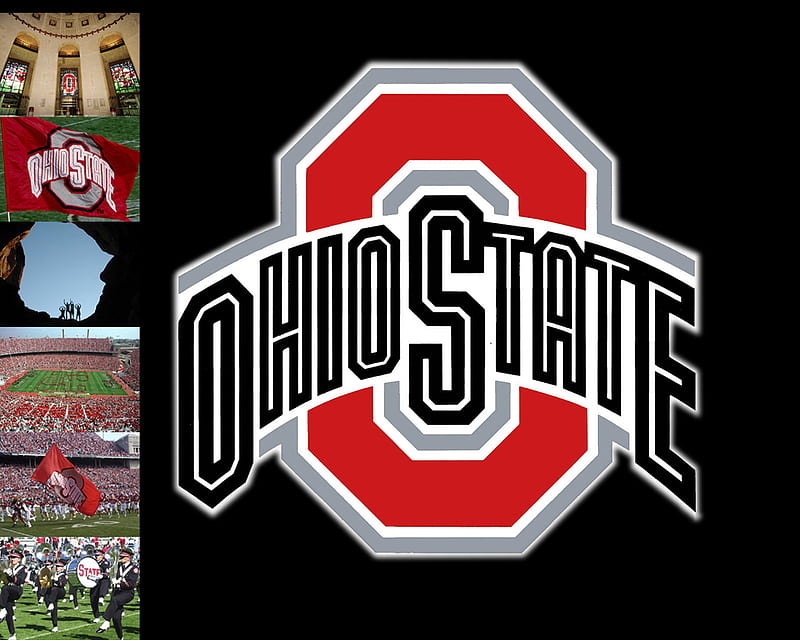 Ohio State University, football, ohio, college, esports, HD wallpaper