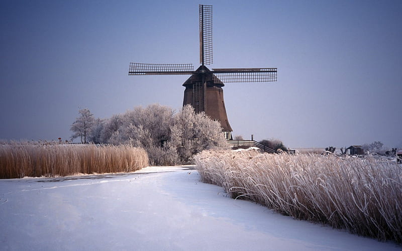 Home, netherlands, south holland, in, windmills, kinderdijk, HD wallpaper