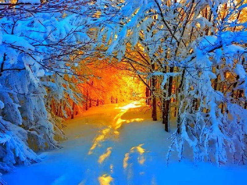 Sunlight Shining Through a Snow Tunnel, sun shining, bonito, tunnel, snow, HD wallpaper