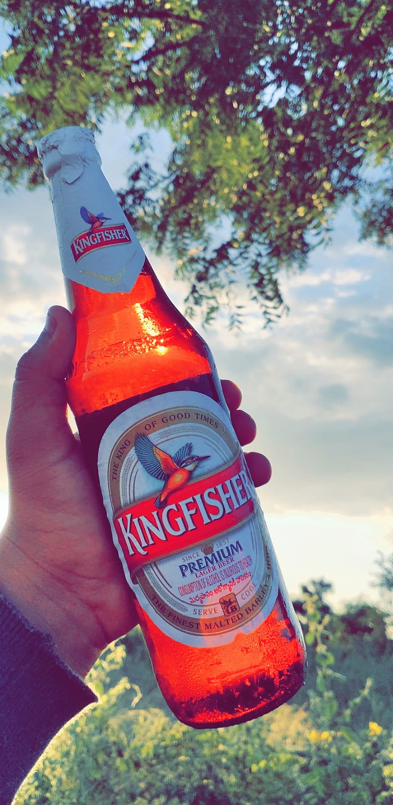 Kingfisher, kf light, kingfisher beer, HD phone wallpaper