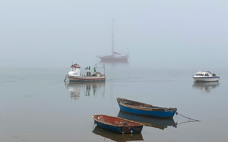 Boats in Mist, water, rowboats, boats, mist, calm, HD wallpaper