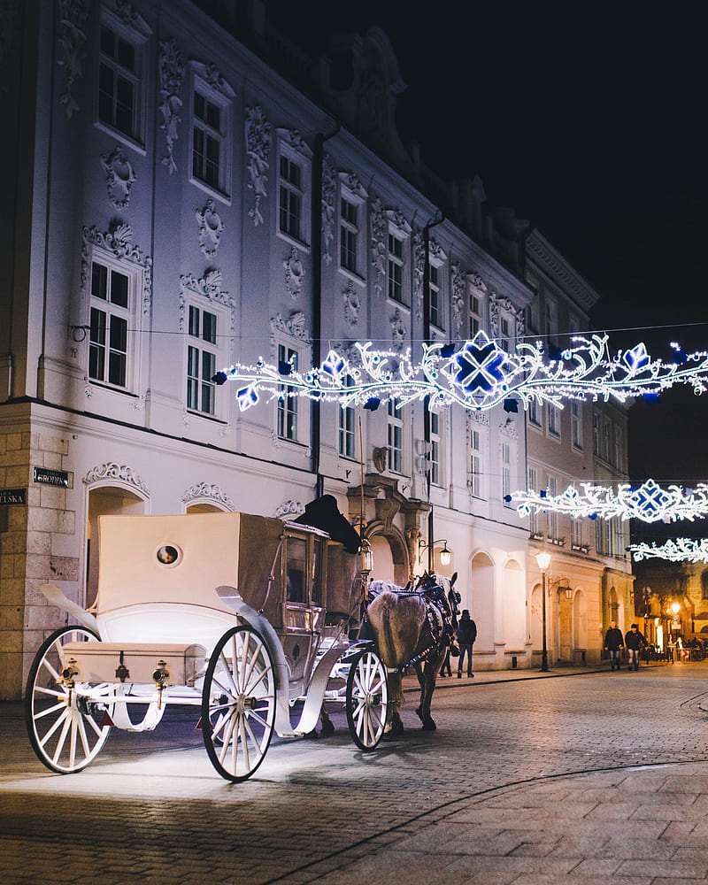 horse with carriage near building, HD phone wallpaper