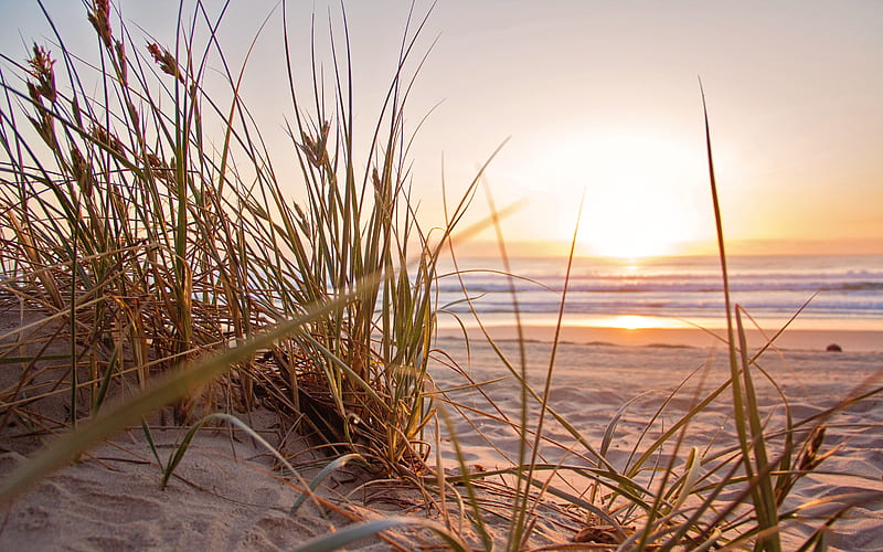 Sand - sea - sunset, pretty, beach, graphy, sand, grass, wild, nature, sunset, landscape, HD wallpaper