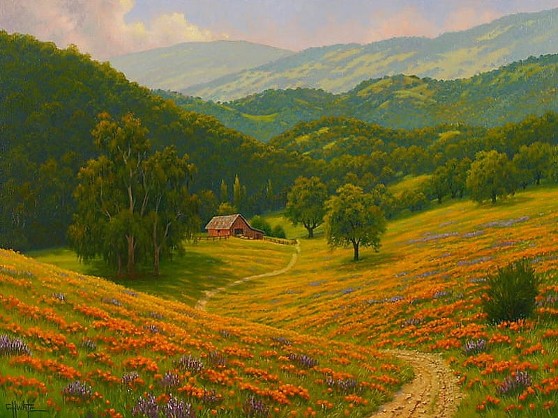 Valley of flowers, pretty, amazing, house, lovely, bonito, valley, farm,  splendor, HD wallpaper | Peakpx