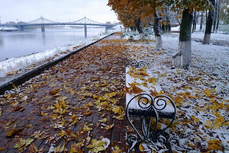 First Snow, fall, autumn, bench, winter time, winter, leaves, snow, river, alley, HD wallpaper