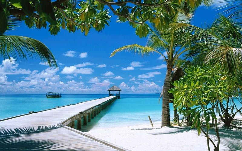 Pier in Maldives, resort, Maldives, pier, island, tropics, HD wallpaper