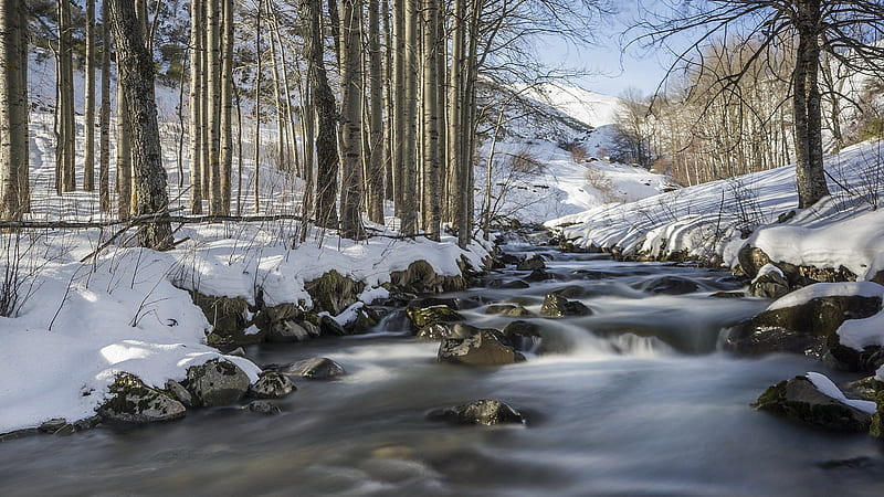 wonderful river in castille and leon spain in winter, hills, rocks, river, trees, winter, HD wallpaper